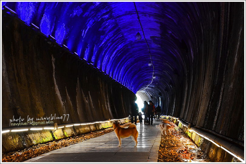 [苗栗.苗栗市]功維敘隧道的穿越時空漫步.穿梭七彩光影的星光大道